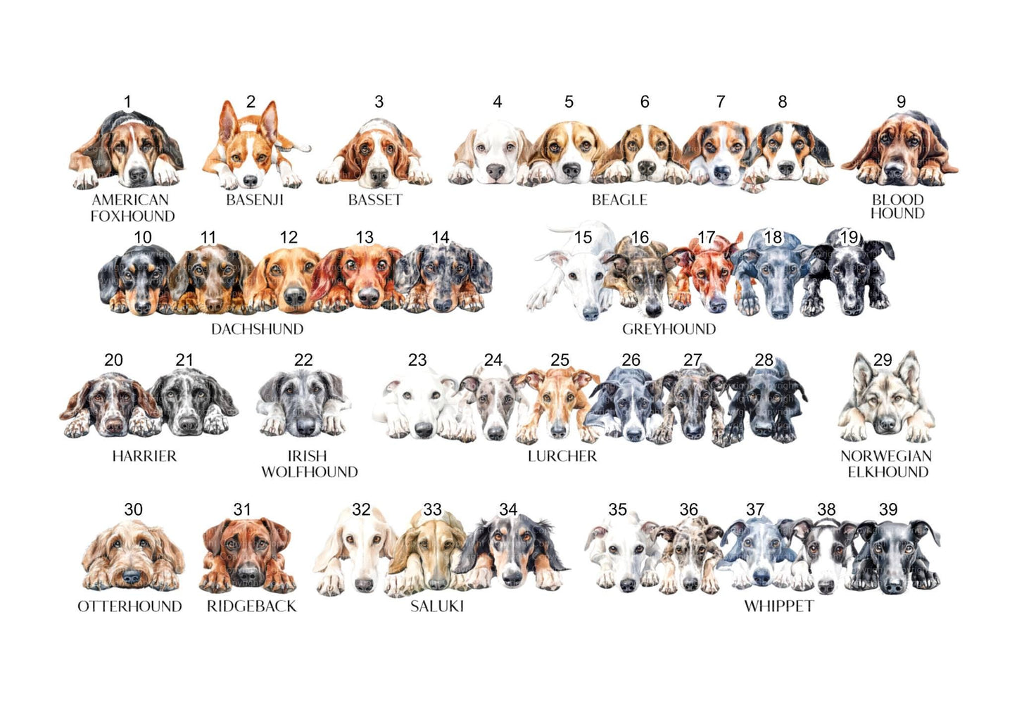 Dog Cushion, Personalised Cushion Gift Dog Cushion Gift, Cocker Cushion Gift