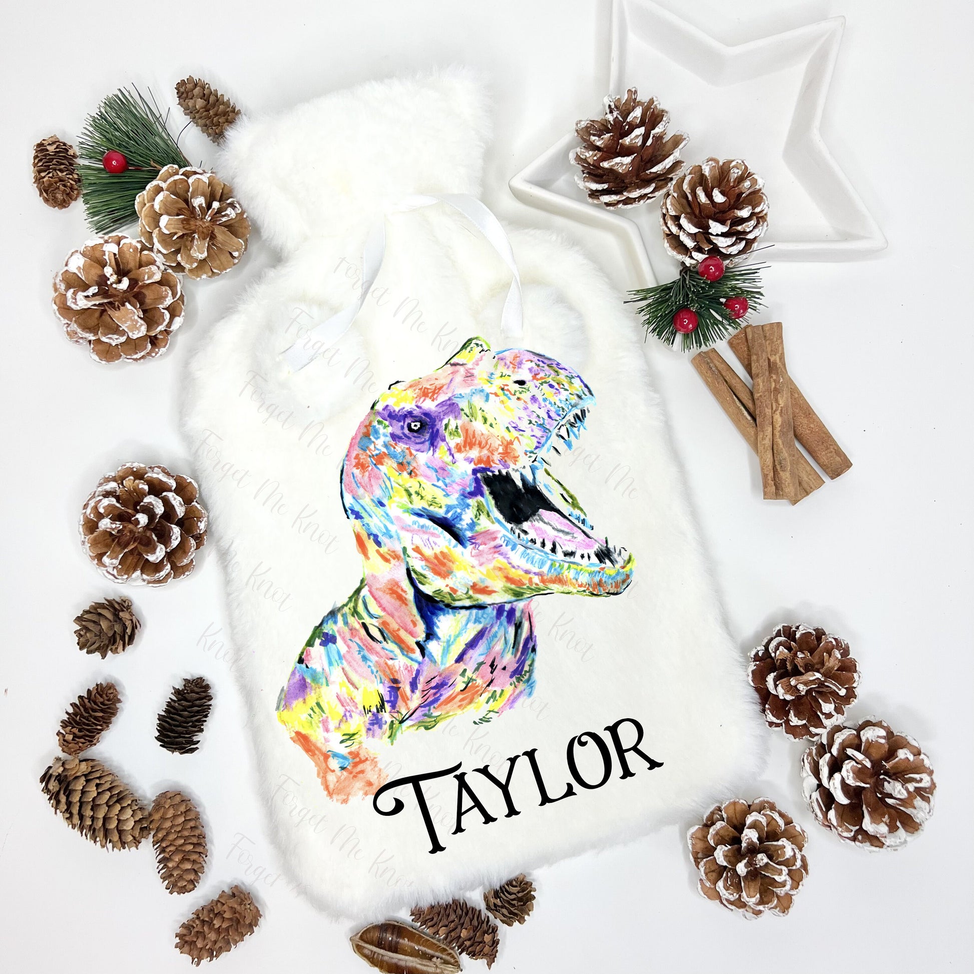 Hot Water Bottle, Personalised Hot Water Bottle, Dinosaur Hot Water Bottle, T-Rex Gift, Christmas Gift For Grandson