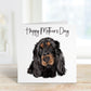 Dog Mothers Day Card, Dog Mum Card, Mothers Day Card For Nan, Mothers Day Card For Nanny, Springer Spaniel Mothers Day Card For Mom