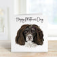 Dog Mothers Day Card, Dog Mum Card, Mothers Day Card For Nan, Mothers Day Card For Nanny, Springer Spaniel Mothers Day Card For Mom