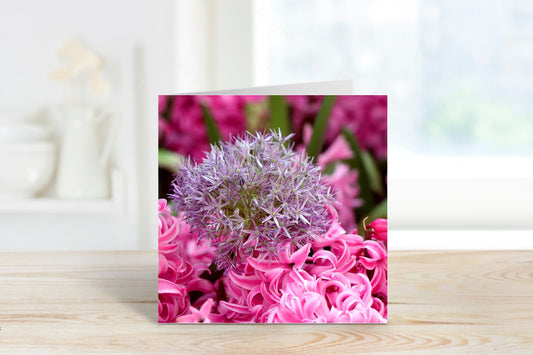 Blank Card, Picture Only Card, Allium Flowers In Pink Flower Fields Greeting Card