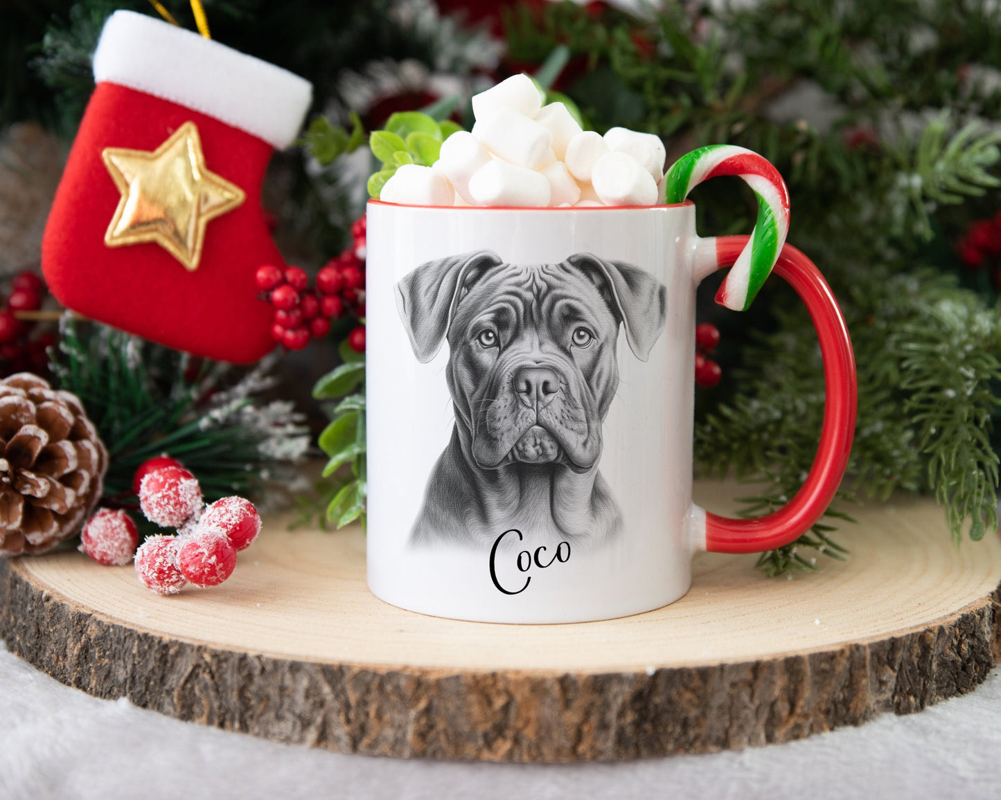 Cane Corso Gift, Personalised Hot Water Bottle, Dog Xmas Gift, Xmas Gift For Dog Lover