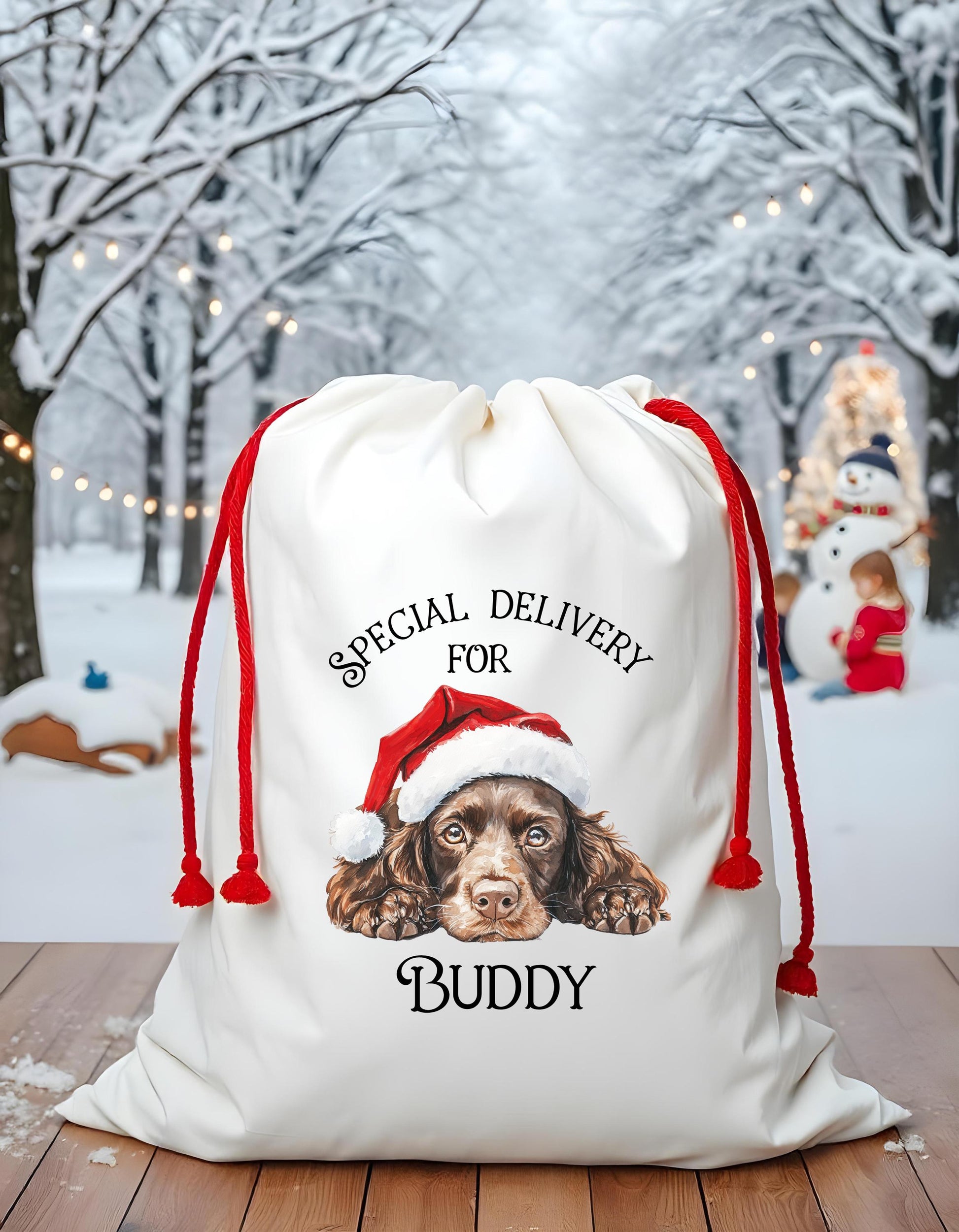 Dog Santa Sack, Christmas Present Sack, Personalised Stocking, Father Christmas Sack, Santa Present Sack, Lots of Different Breeds Available