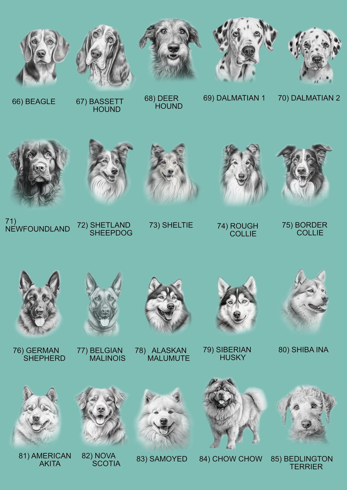 Personalised Dog Breed Mug or Coaster, Custom Dog Lover Gift, 86 Dog Designs, Dog Mum Gift, Dog Dad, Matching Mug and Coaster, Daschund Gift