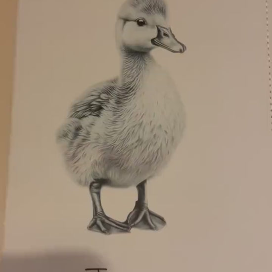 Duck Notebook, Personalised Notebook,  Personalised Gift For Her Or Him, Journal, Pet Notebook,Animal Gift, Xmas Gift